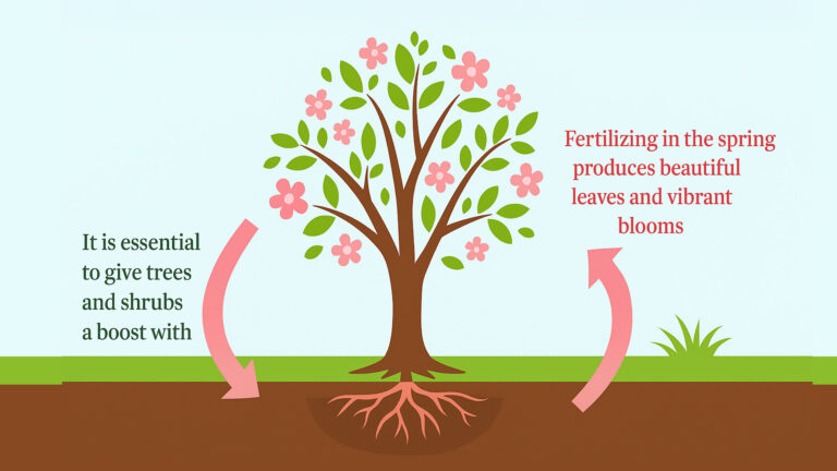 Deep Root Fertilization: Why Spring Is the Best Time