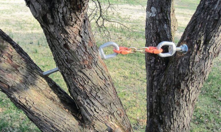 The Importance of Tree Cabling Before Hurricane Season